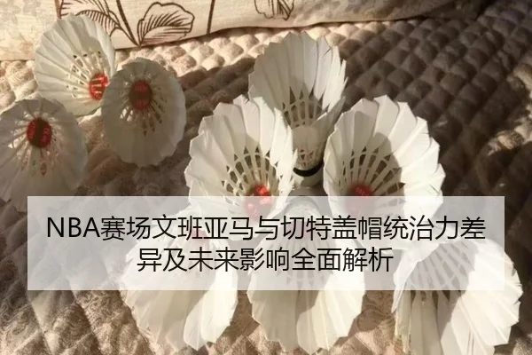 NBA赛场文班亚马与切特盖帽统治力差异及未来影响全面解析